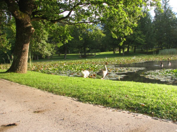 Park Brdo